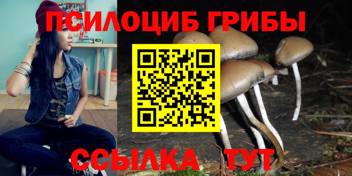 Галлюциногенные грибы MAGIC MUSHROOMS Черногорск