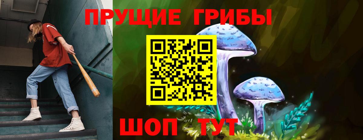 Черногорск  Галлюциногенные грибы мицелий  Вход с VPN  дарнет шоп  Псилоцибиновые грибы Psilocybine cubensis 